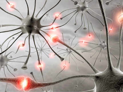 0 1339108039 synapses